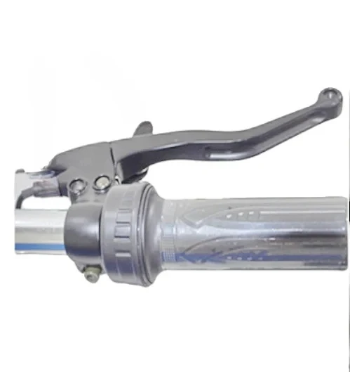 Triciclo Elétrico de 24 polegadas 36V 250W Bicicleta de Três Rodas E-Bike