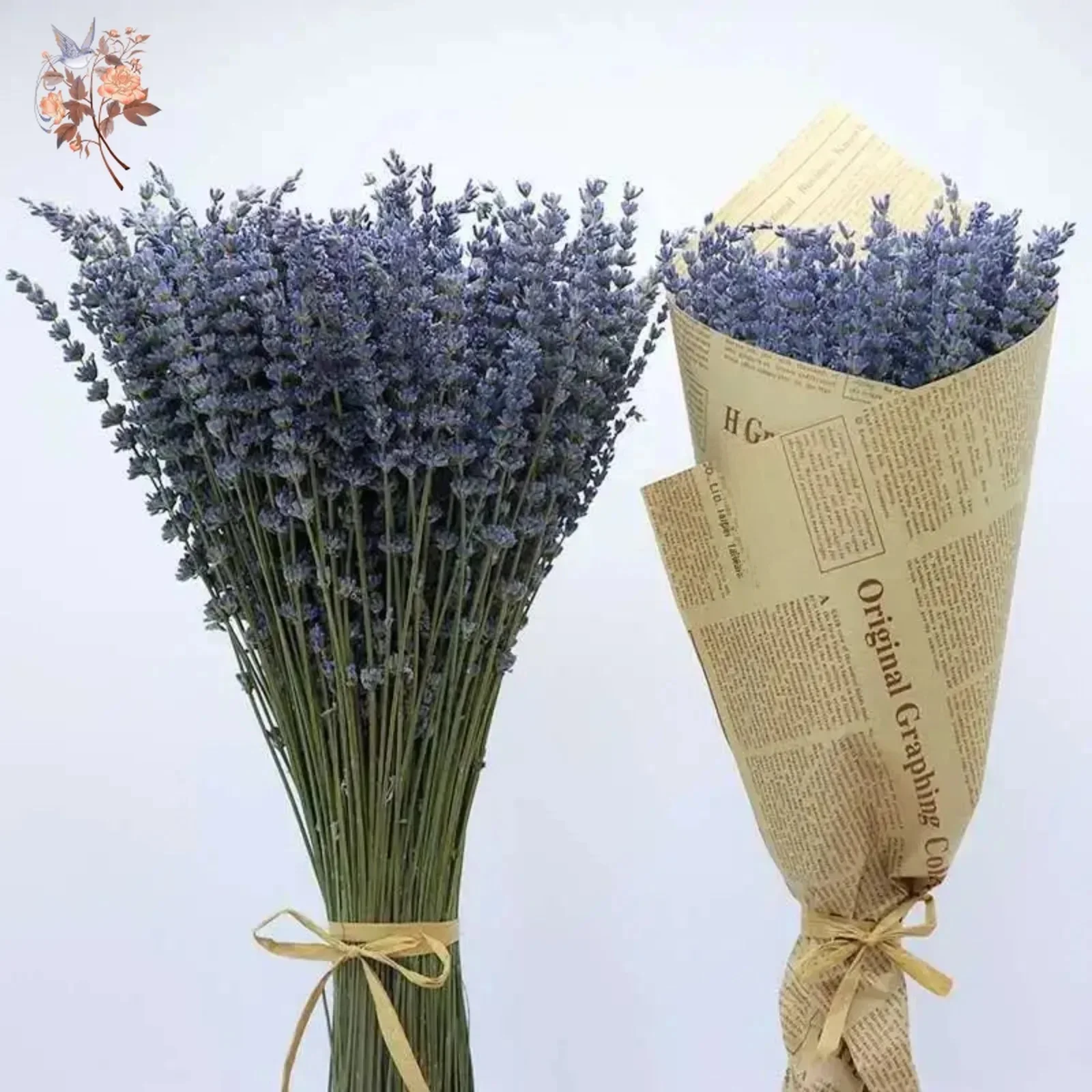 Bouquets de fleurs séchées naturelles de µpour la décoration intérieure, parfum de qualité supérieure, esthétique du jour de Léon, décoration de mariage, cadeau, 50g, 100g