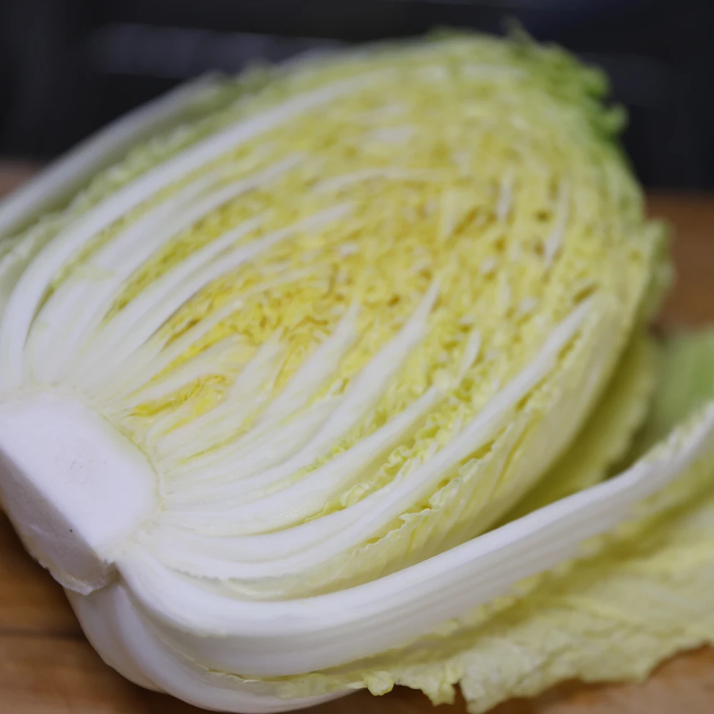 أذن البحر هاينان المجوفة ثلاث قطع ستة قطع 12 قطعة