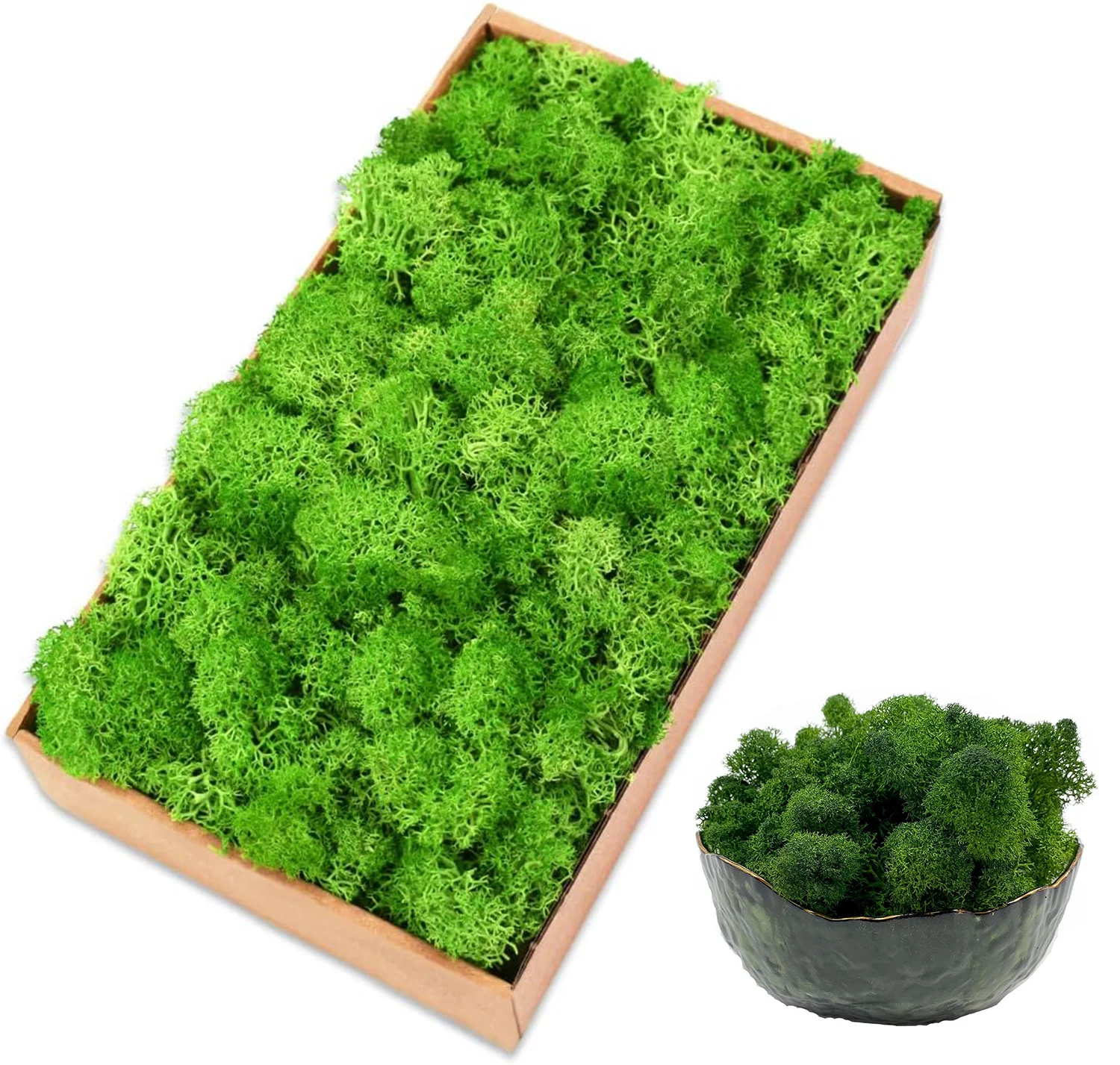 Eternal Life Moss Artificial Green Plants 20/40/80g Grass Family room Garden Decor Mini Landscape Fake Grass DIY Crafts