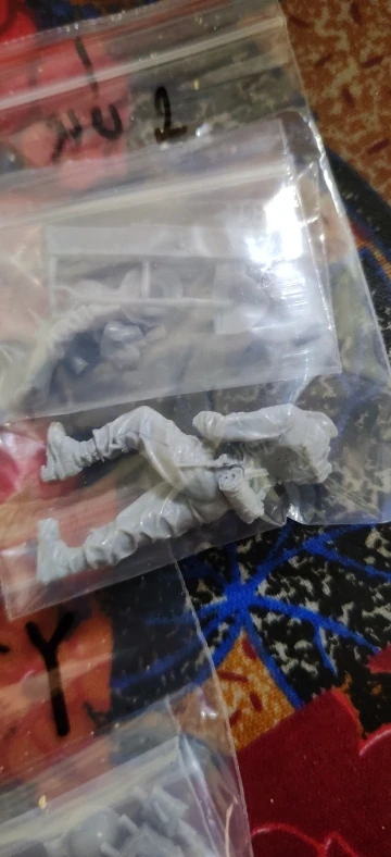 Buyer photo of this resin kit