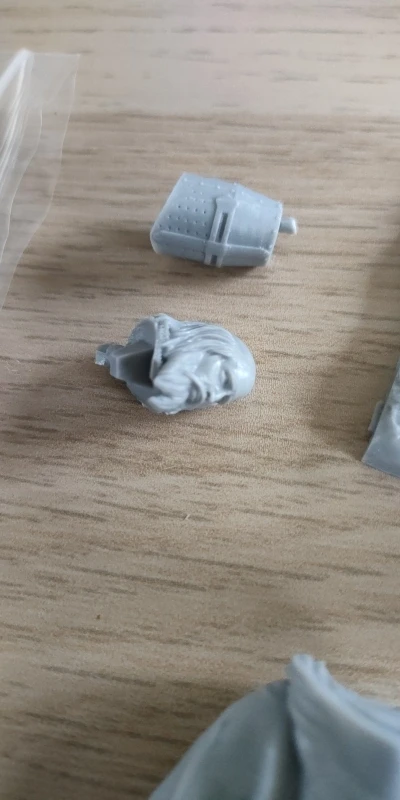 Buyer photo of this resin kit