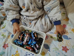 Imagen de reseña 3