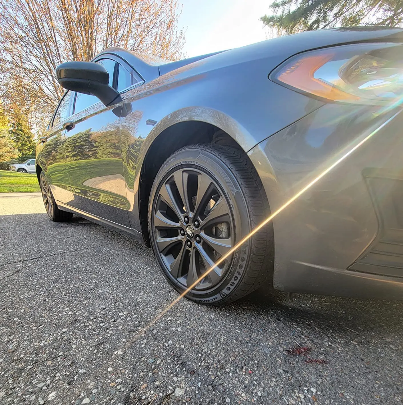 Customer review photo from Leota O'Keefe