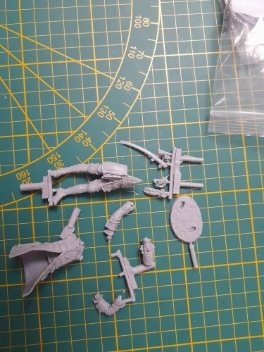 Buyer photo of this resin kit
