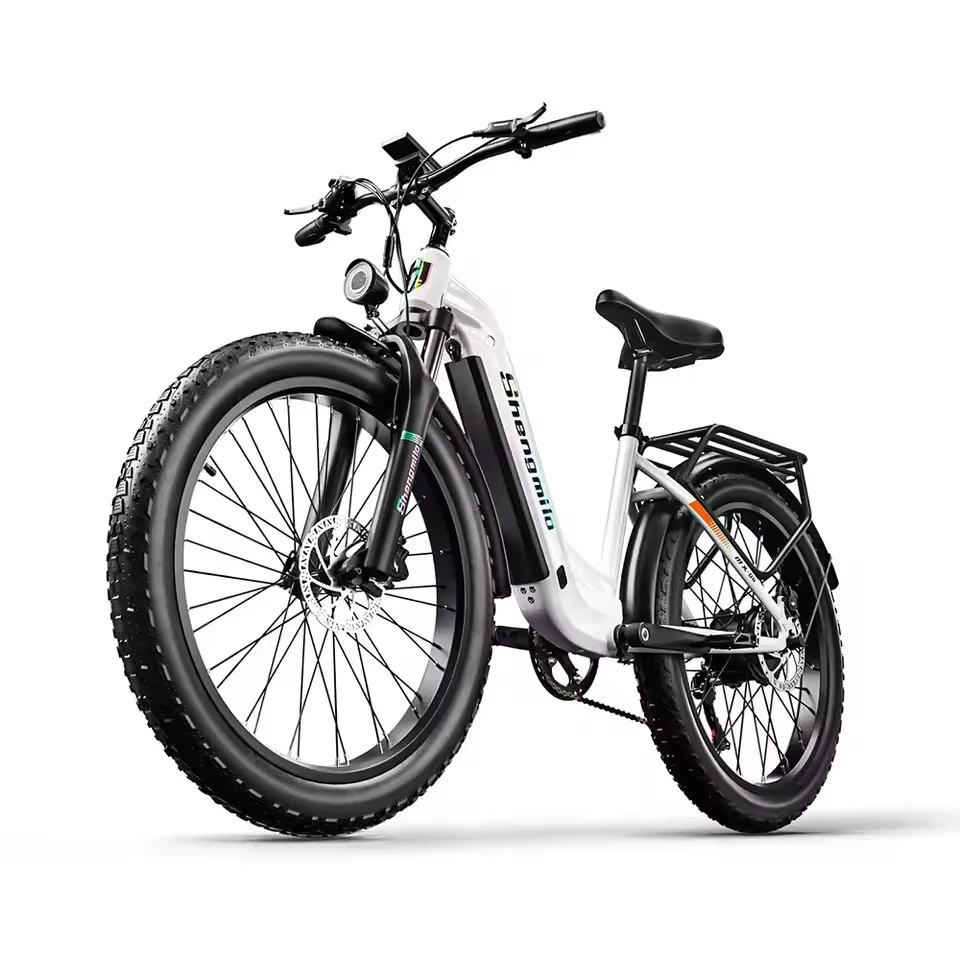 

Electric Bike 1000W Urban Bicycle Fat bike electric 26" E-bike 48V17.5AH Battery Adult mountain bike
