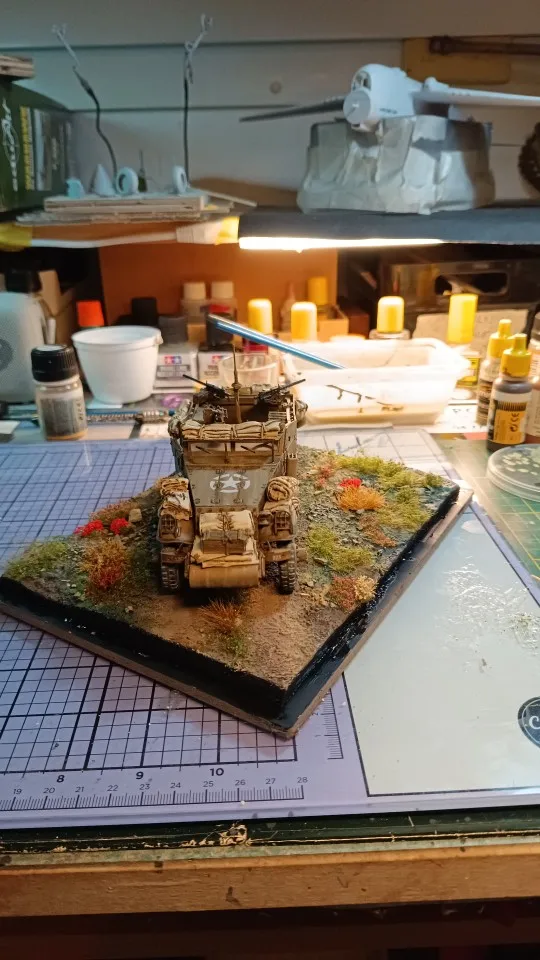 Buyer photo of this resin kit