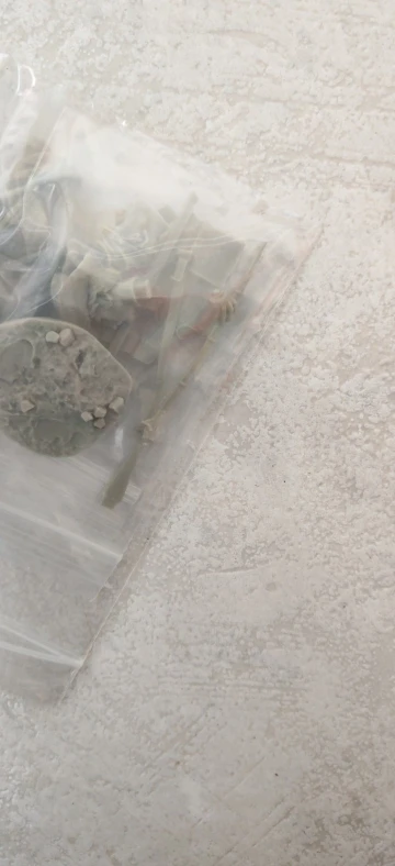 Buyer photo of this resin kit