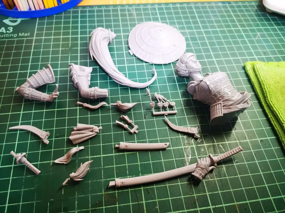 Buyer photo of this resin kit