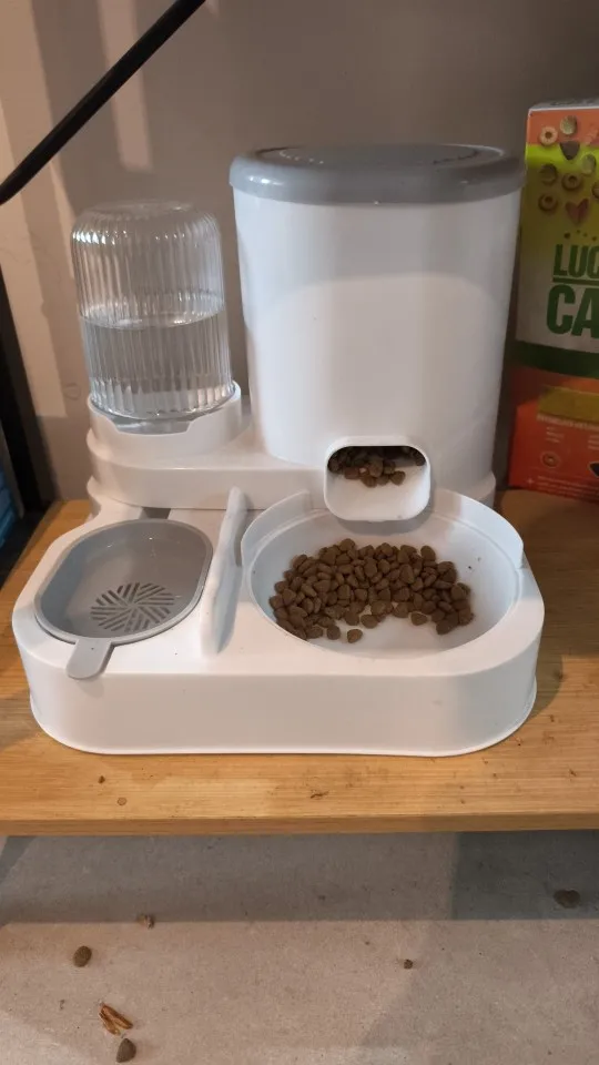 Customer review photo for Dual-Bowl Automatic Cat Feeder for Two Pets