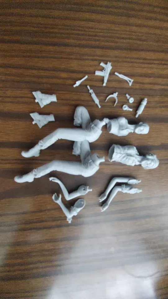 Buyer photo of this resin kit