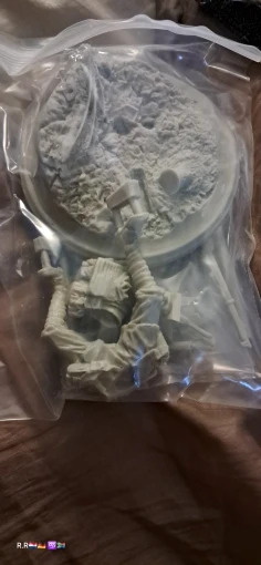Buyer photo of this resin kit