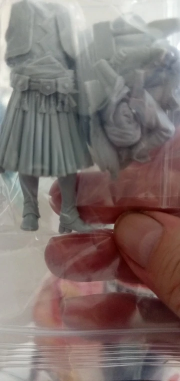 Buyer photo of this resin kit