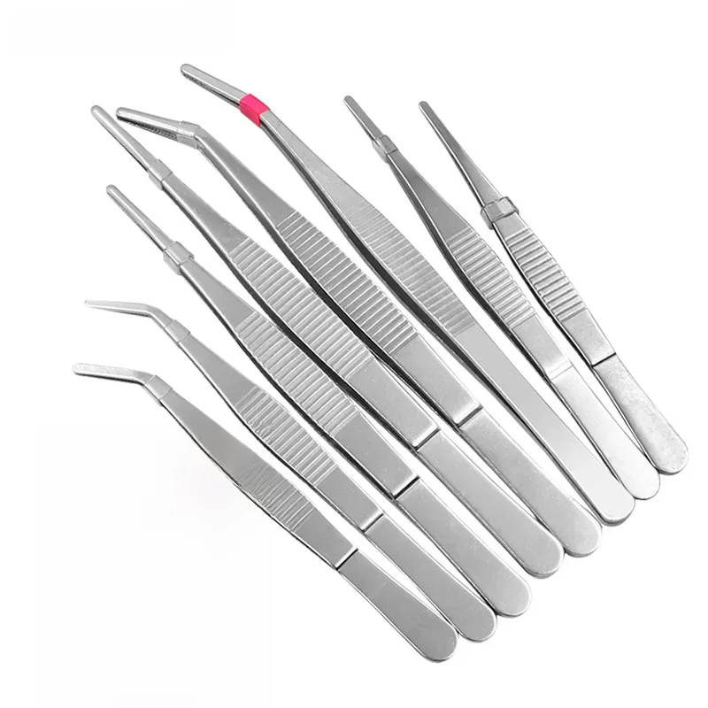 Pince de jardinage en acier inoxydable, à dents, courbée et droite, épaissie, 125-180mm