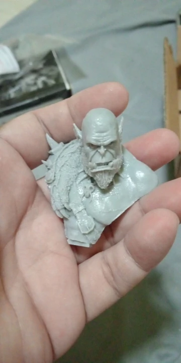 Buyer photo of this resin kit