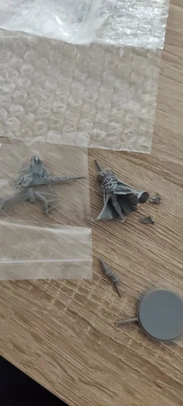 Buyer photo of this resin kit