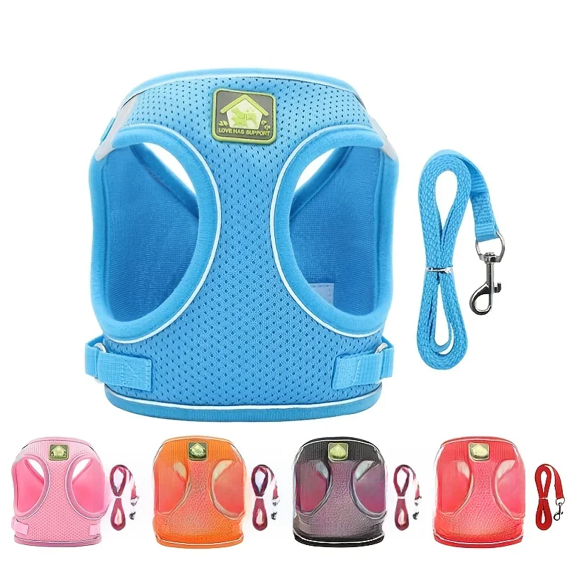 Ensemble de coulée SFP et laisse pour chien et chat, sans côtes, maille respirante