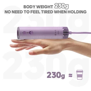 애완 동물 손질 헤어 드라이어 고전력 이온 헤어 드라이어 개를위한 침묵하는 아름다움 강모 빠른 부는 목마 휴대용 10 최고의 영업 개 헤어 드라이어 - №4