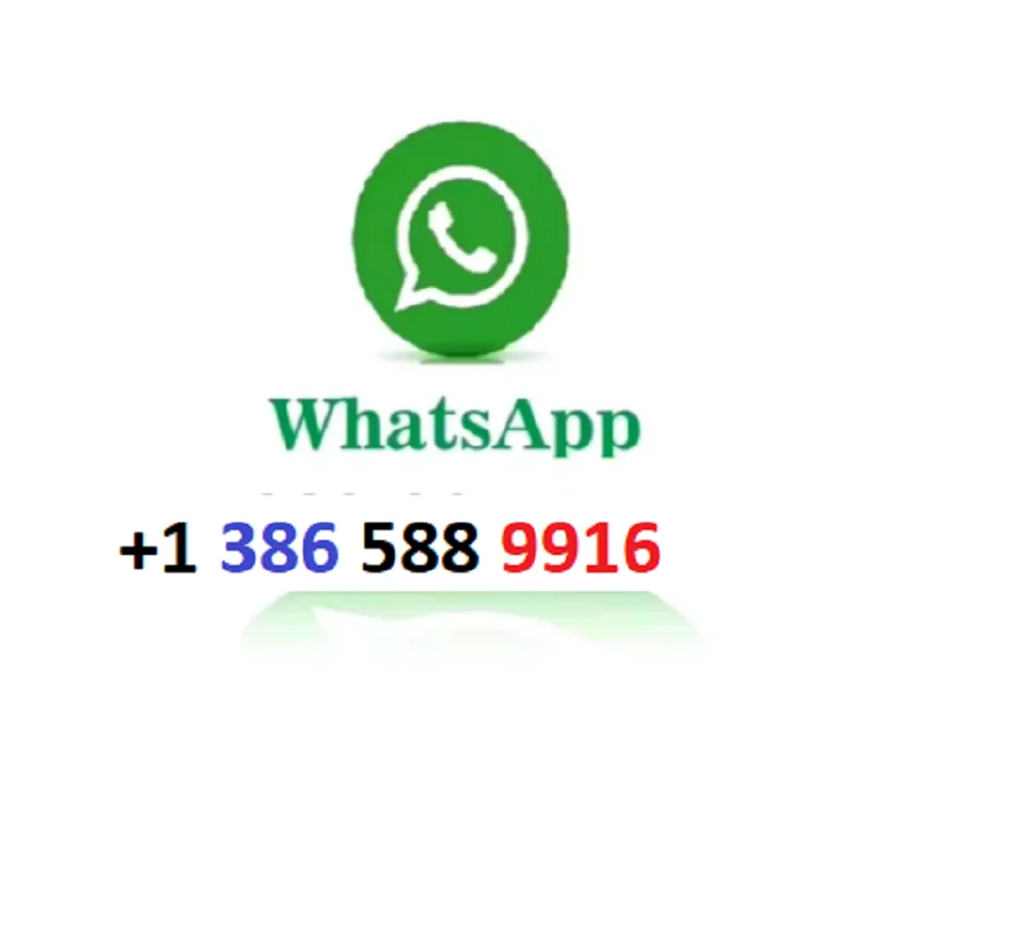 جديد RTX 24GB GDRR6X