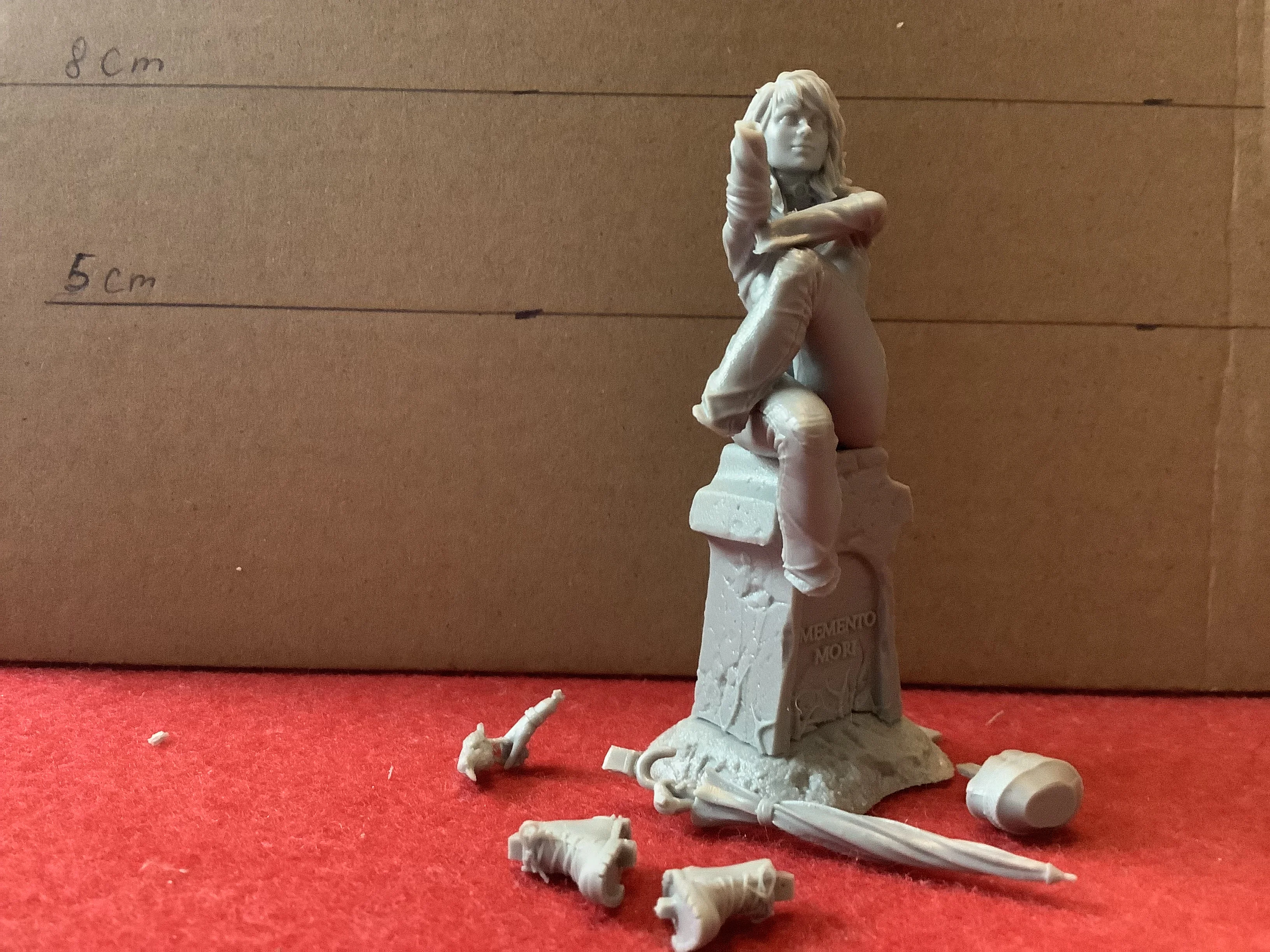 Buyer photo of this resin kit