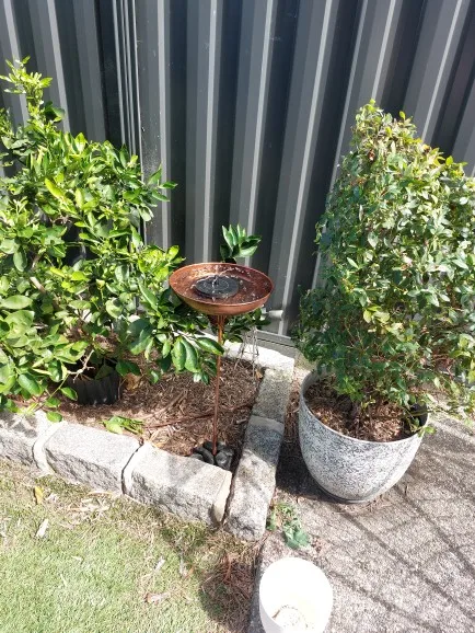 Vintage Outdoor Bird Bath - Sturdy iron with 5-pronged base, rustic garden decor, easy to install and attracts birds - perfect f photo review