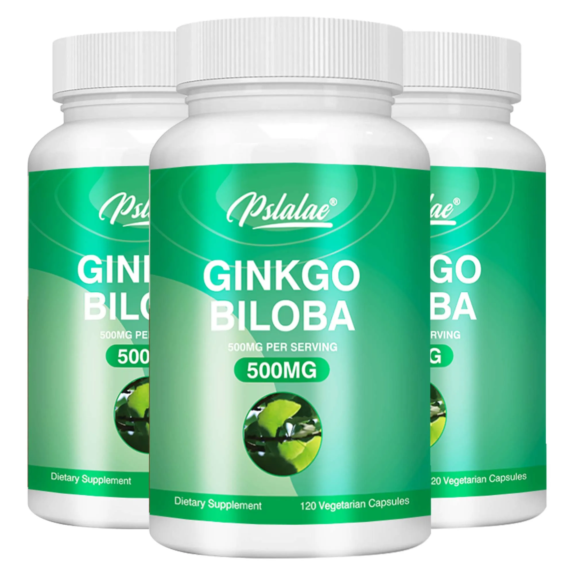 Ginkgo Biloba Capsules - Improve Brain Function, Improve Concentration and Memory - 120 Capsules