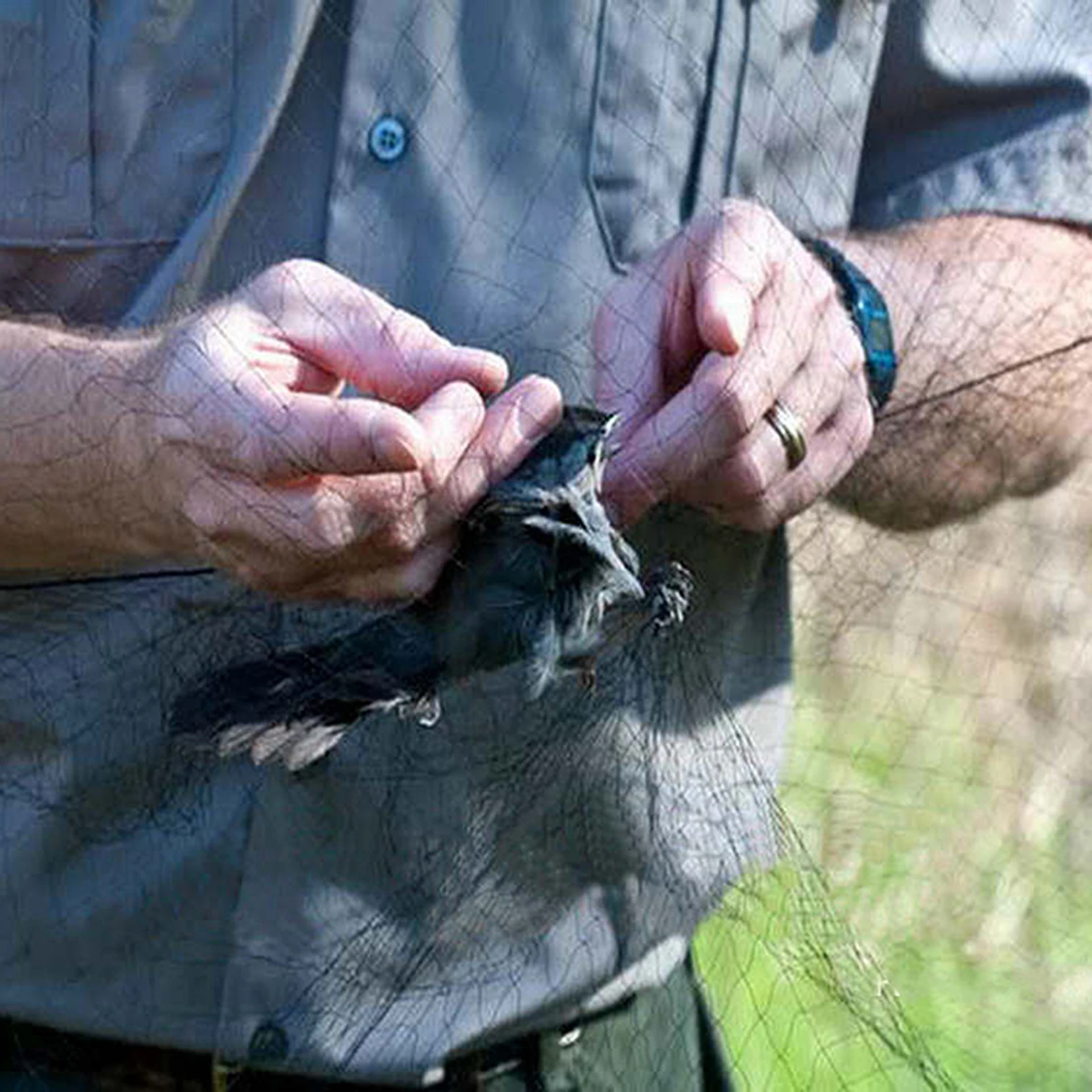 Przeciw ptakom Catcher siatki staw netto sieci rybackie pułapki uprawy owoce drzewo warzywa kwiat siatka ogrodowa chroń zwalczanie szkodników 1Pc