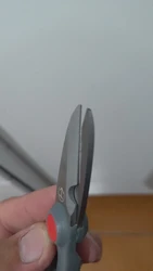 Imagen de reseña 4