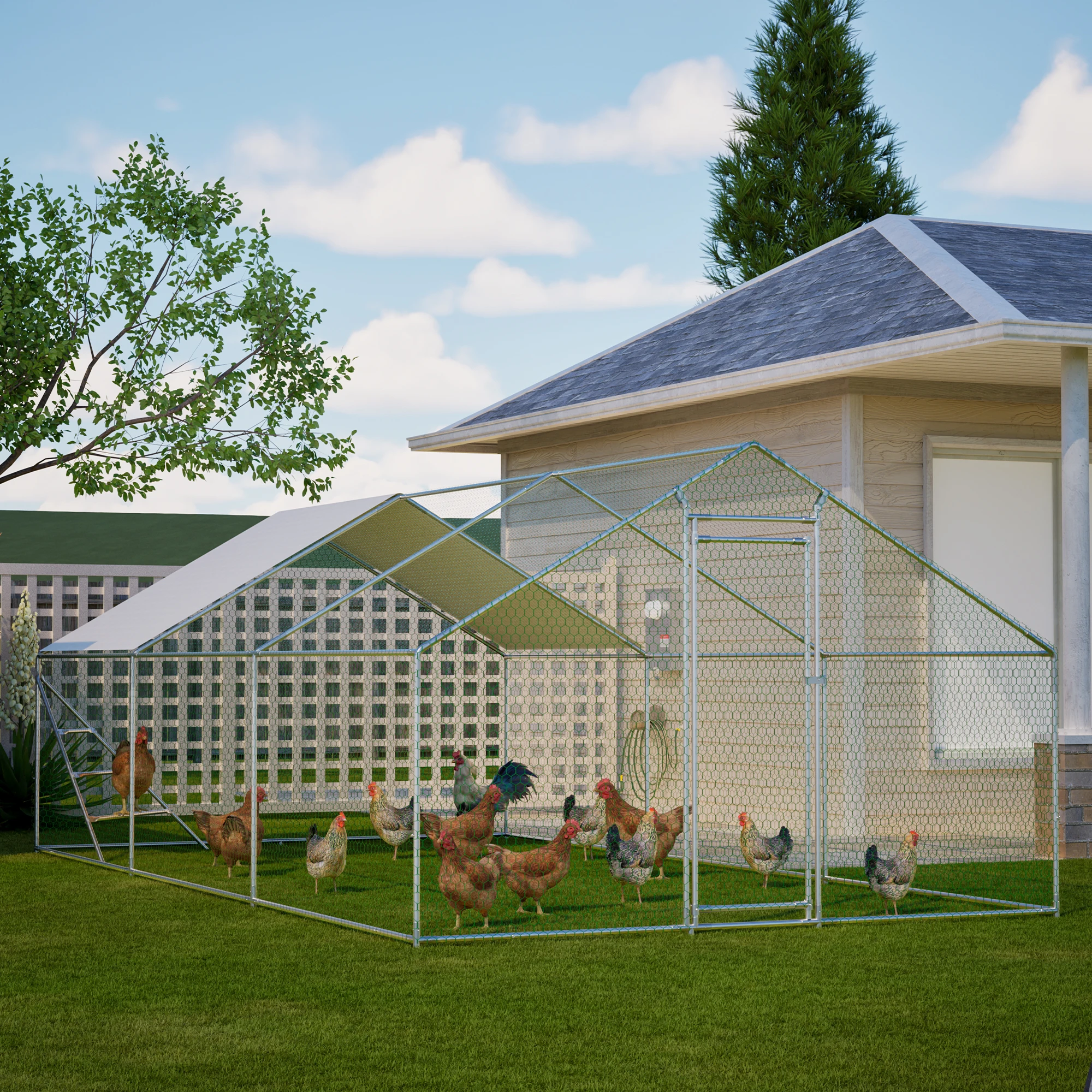 Kippenhok 3x6m van metaal met klimrek, professionele volière met dak & versterkte constructie – grote volière voor kippen, ganzen en kleine dieren