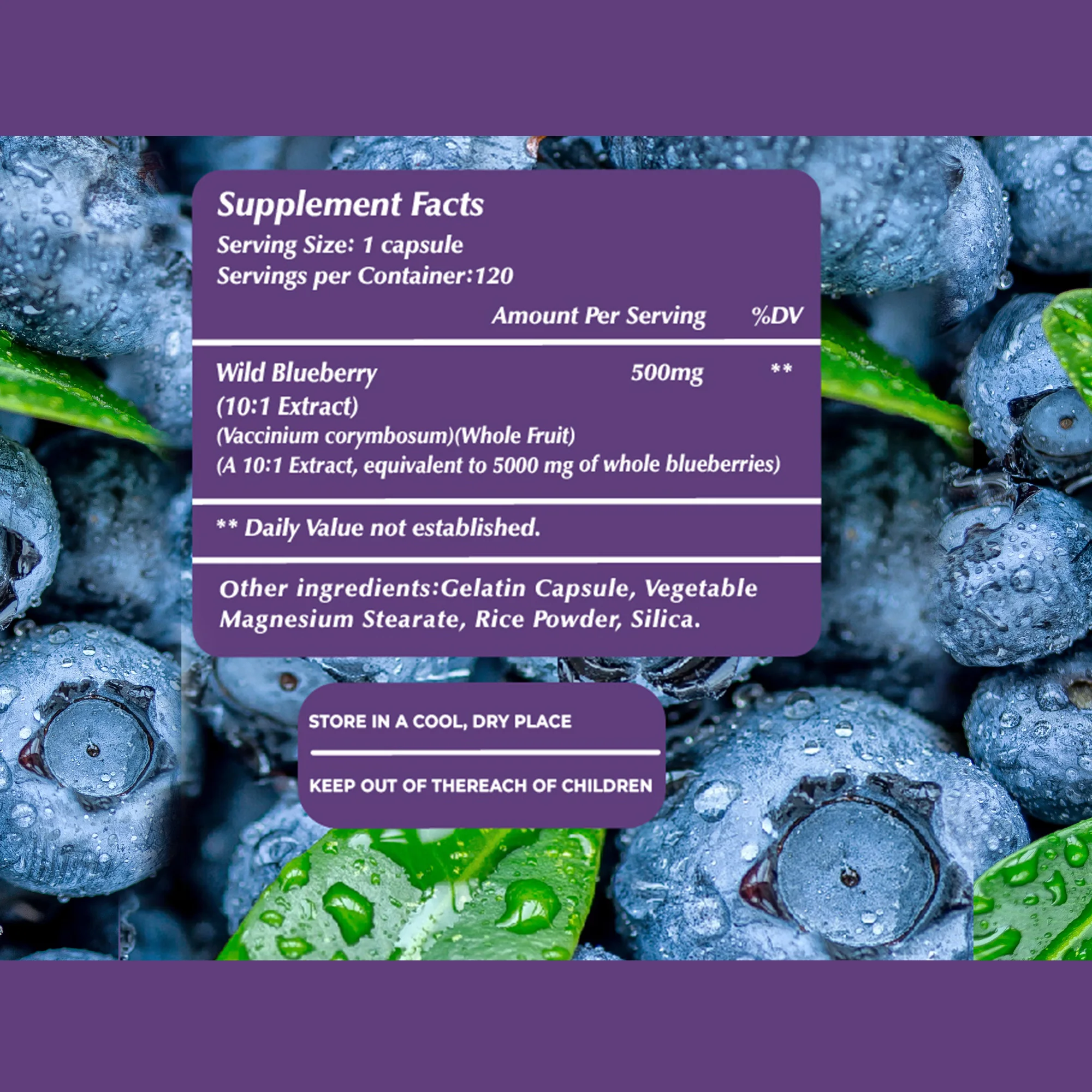 Wild Blueberry Capsules - Good for The Brain, Heart Health, Eye Care, Antioxidant - 120 Capsules