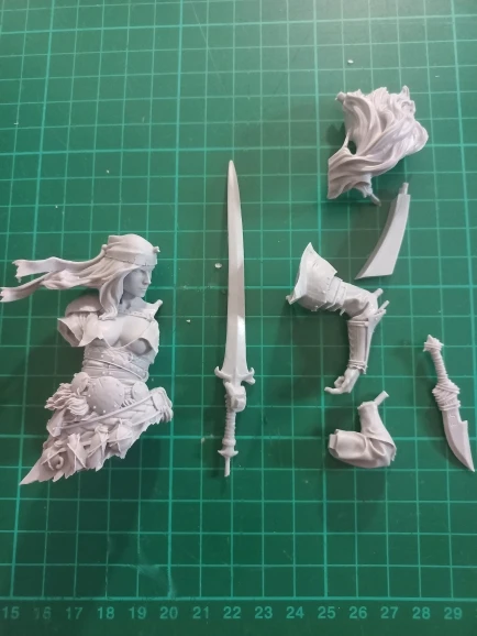 Buyer photo of this resin kit
