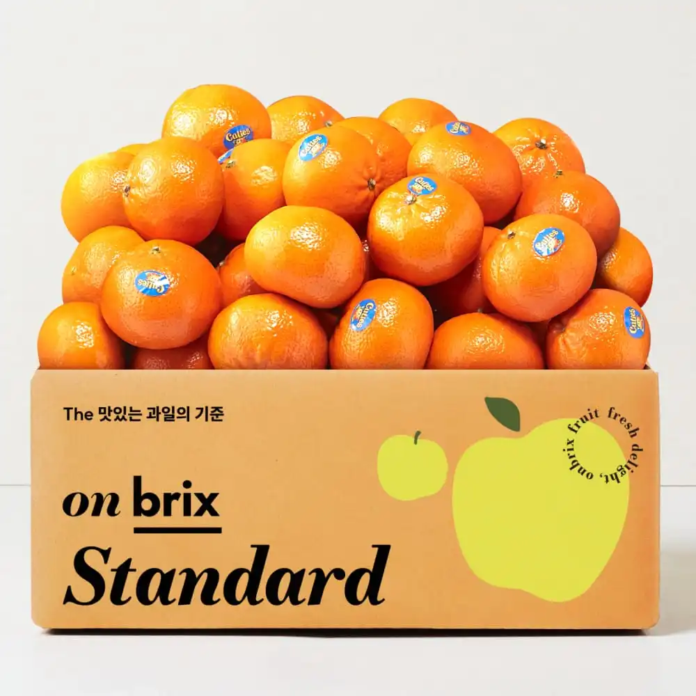 [Next Briggs] Orange-flavored citrus, premium Mandarin 2.5kg (28-32 mouth)