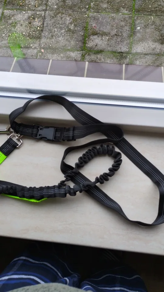 Customer review photo for Hands-Free Bungee Dog Leash with Adjustable Waist Belt