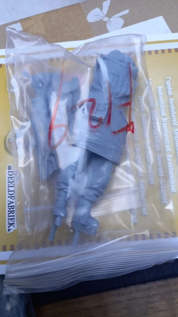 Buyer photo of this resin kit