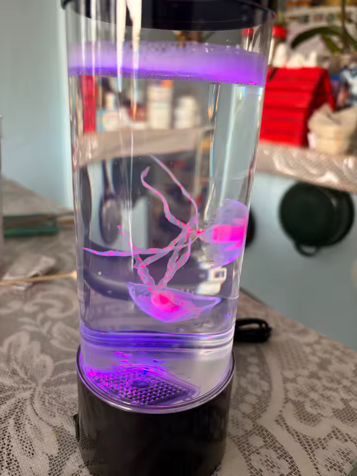 JellyGlow XL