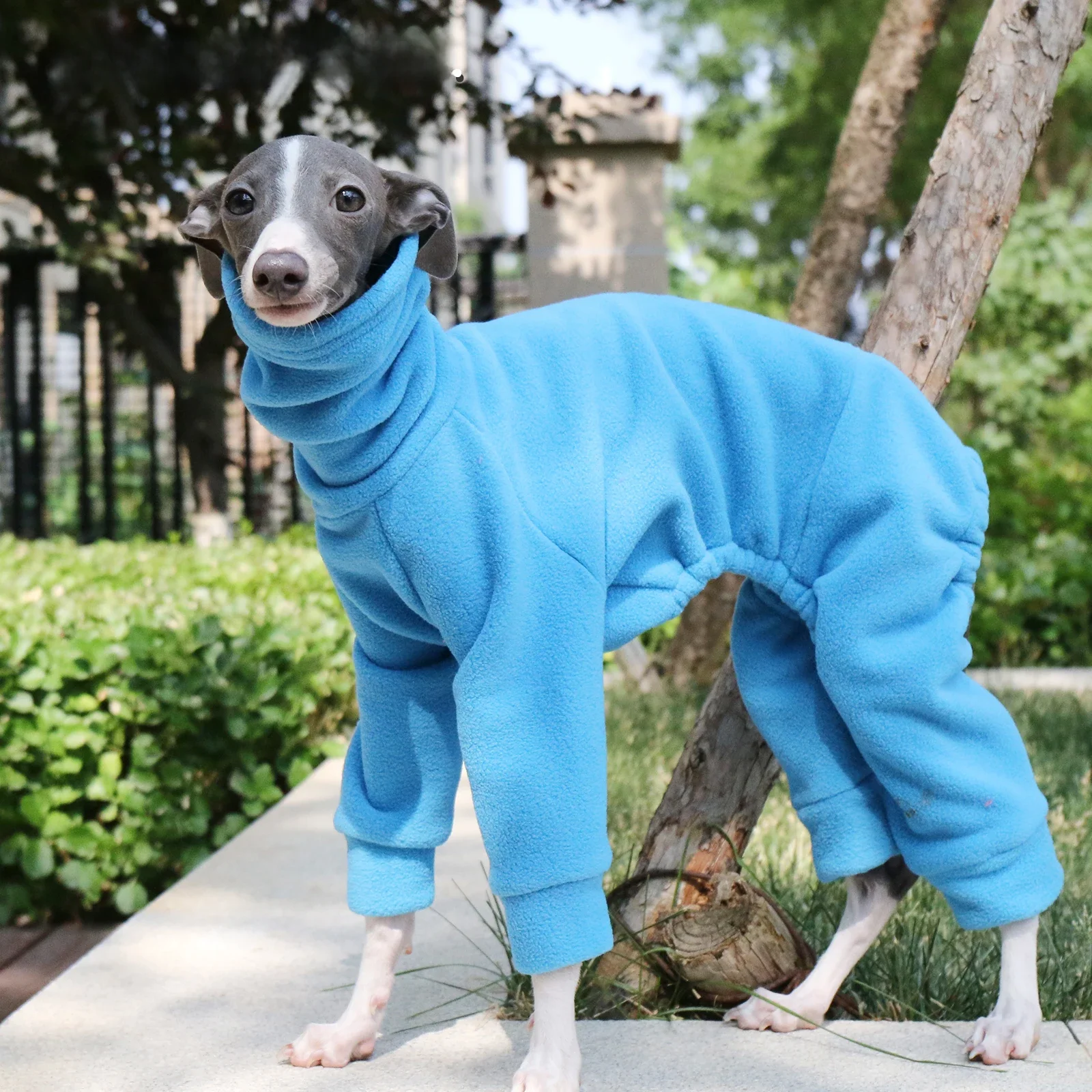 Piżama Whippet, Onesie dla starszych psów, łatwe do składania i wykonane na zamówienie z miękkiego polaru, włoskie ubrania dla graczy — 2