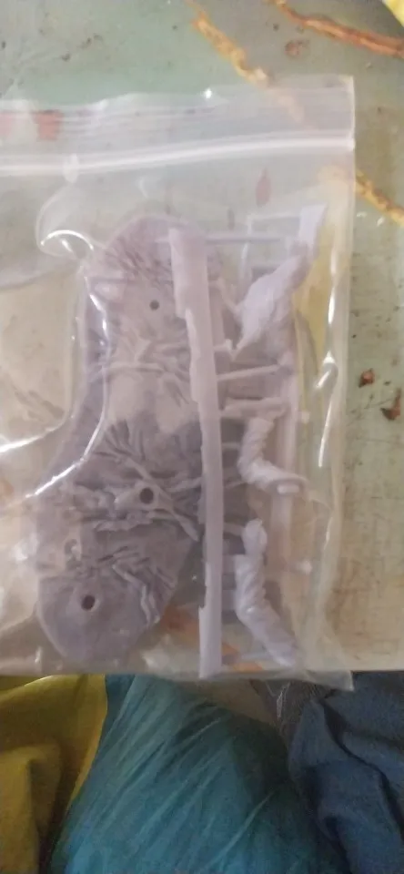 Buyer photo of this resin kit