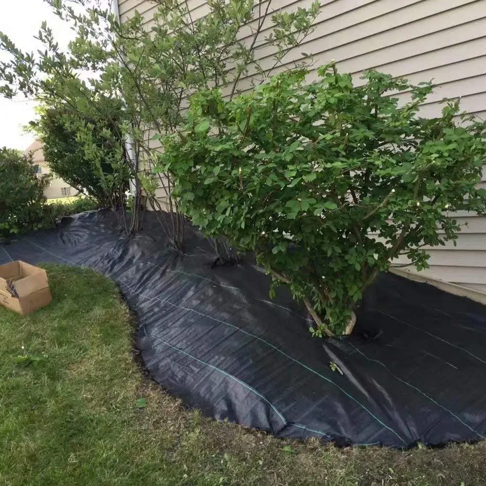 5 ft. x 100 ft. Black Heavy-Duty Landscape Fabric Pro Commercial Weed Barrier