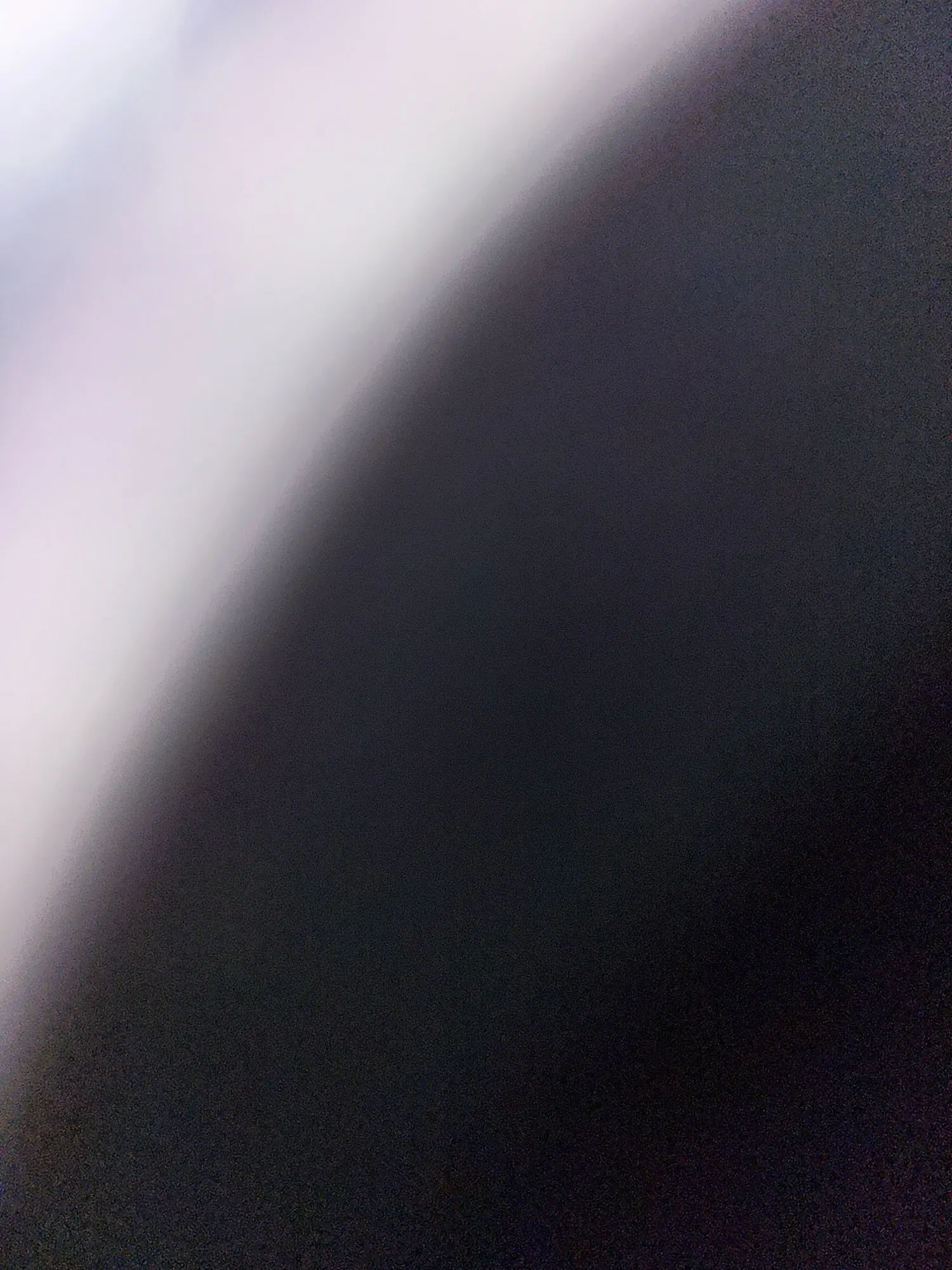 실물 포토 리뷰