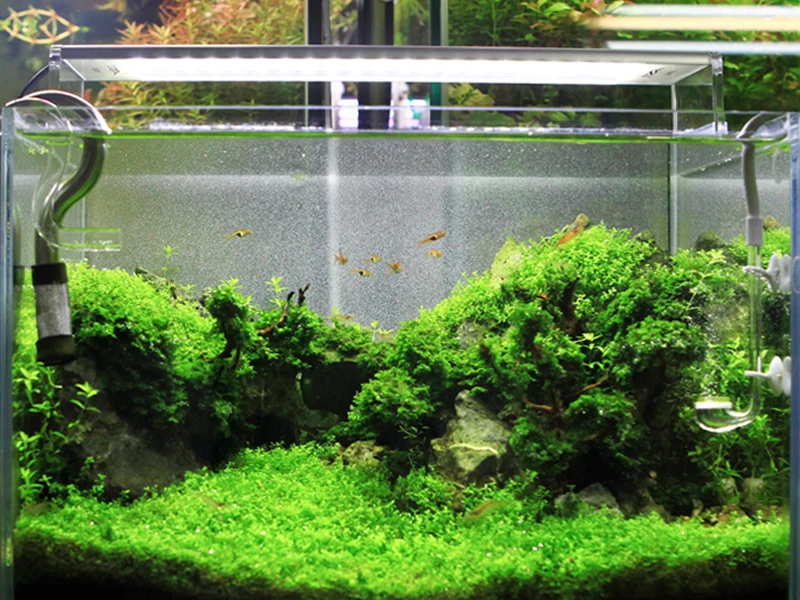 Chihiros A601 LED - 60 cm LED aquarium light - AliExpress 15
