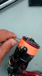 Imagen de reseña 3