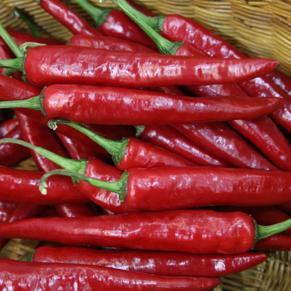 [Sanseong-Maeul] Chile Rojo Nacional (Grado Especial) 1kg 2kg 5kg 10kg 500g