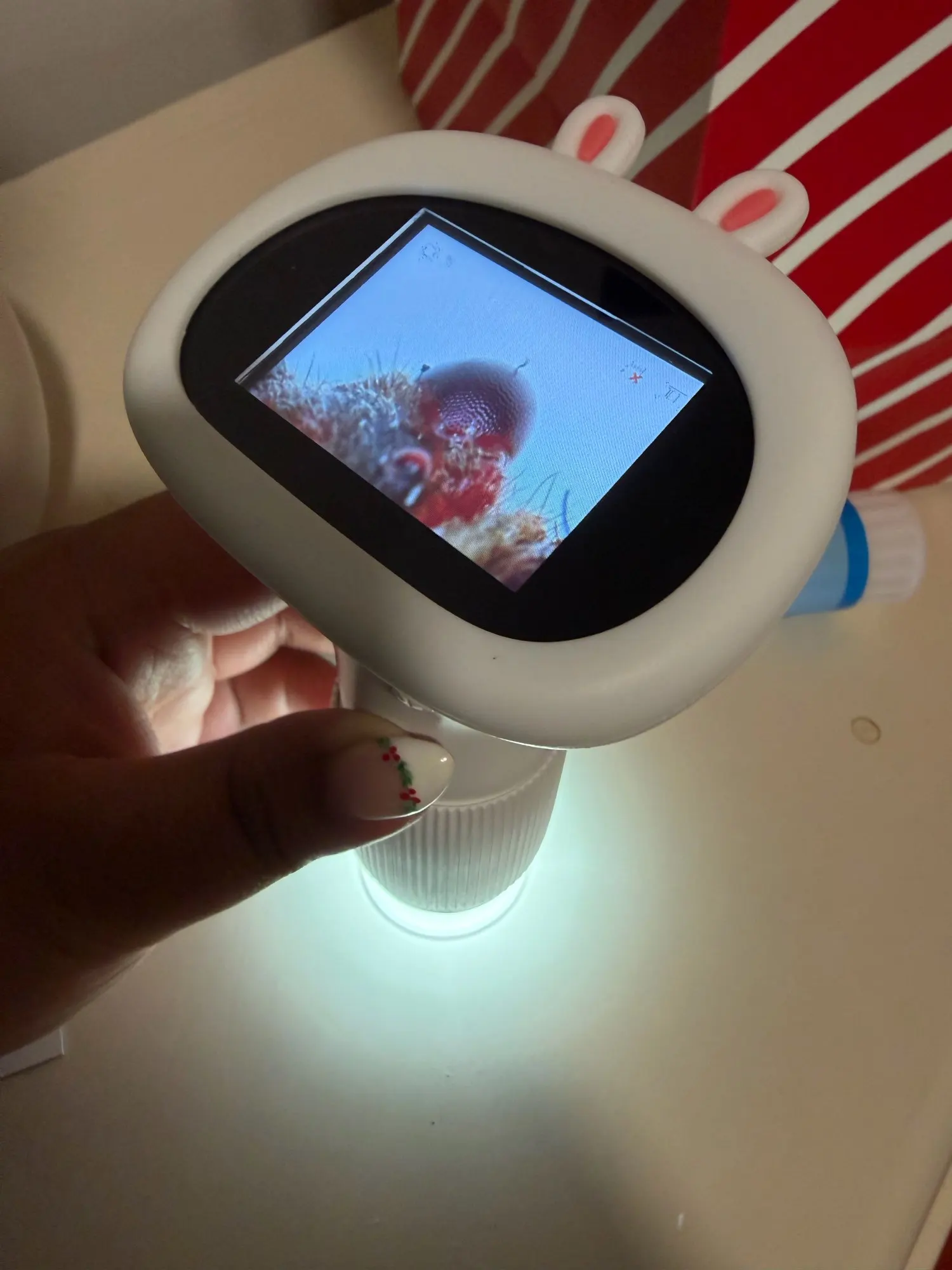 Review image