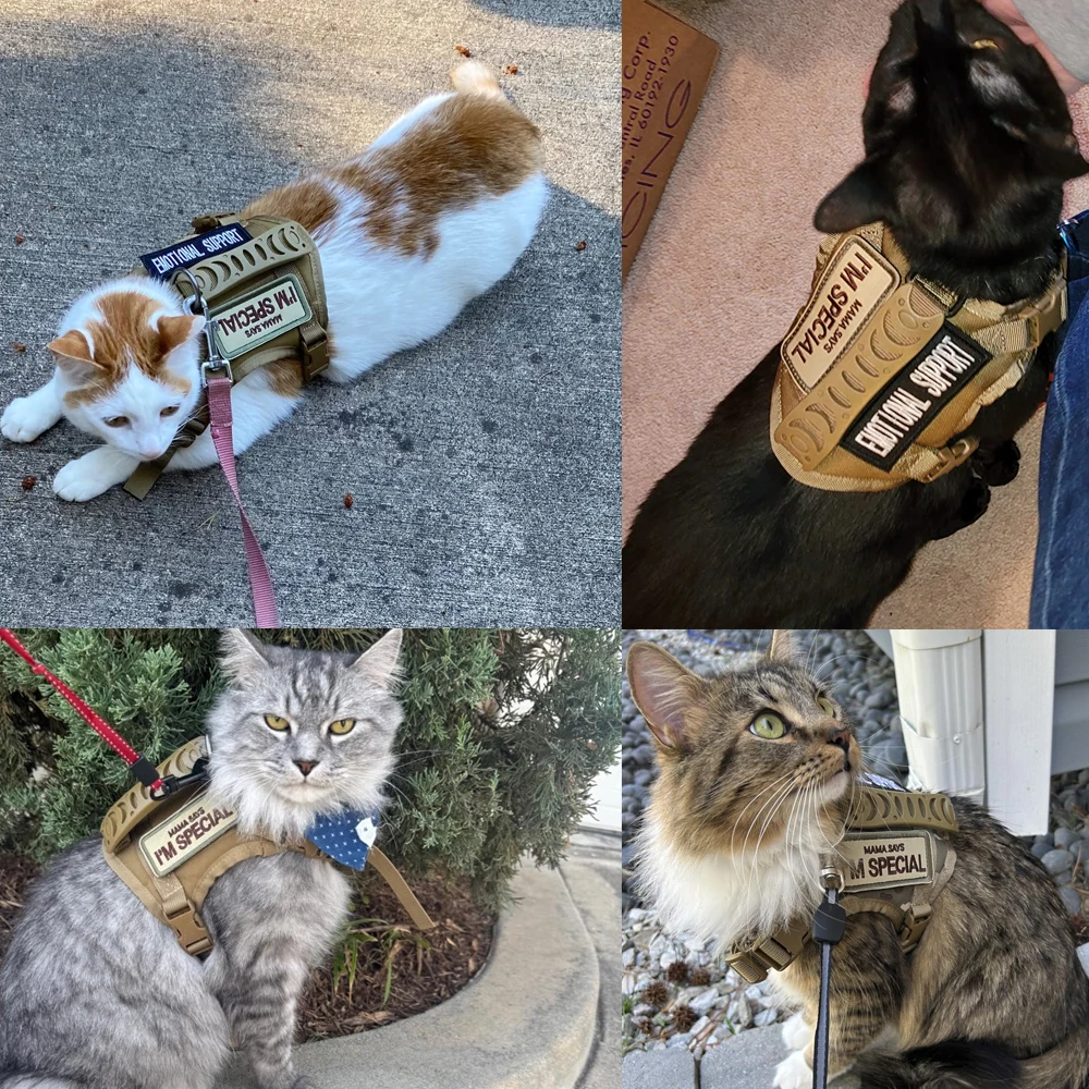 Taktisches Katzengeschirr, ausbruchsicher, verstellbare Weste im Militärstil, bequem für Katzen, Welpen, Outdoor-Spaziergänge, Training – Detail 15