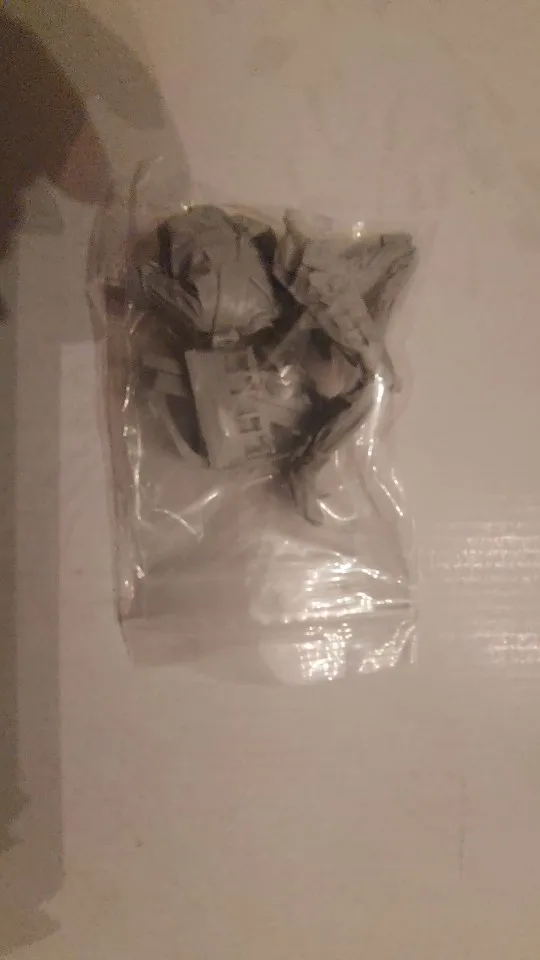 Buyer photo of this resin kit