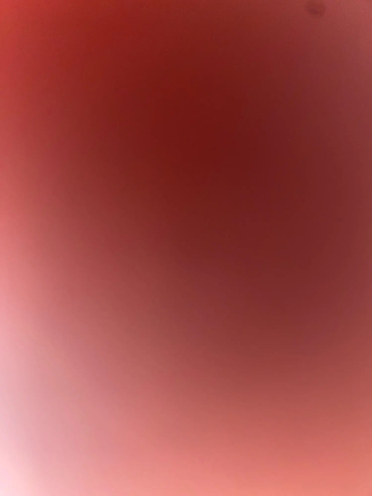 실물 포토 리뷰