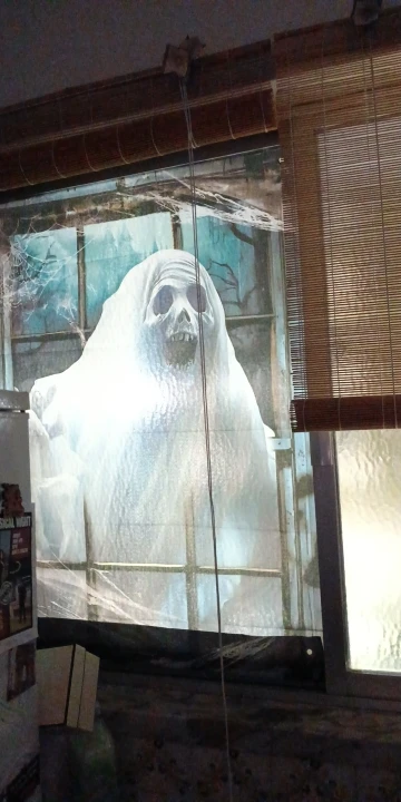 Halloween Window Cover, Large Spooky Window Clings White Cloth Ghost Haunted House Window Decor for Indoor Outdoor Door photo review
