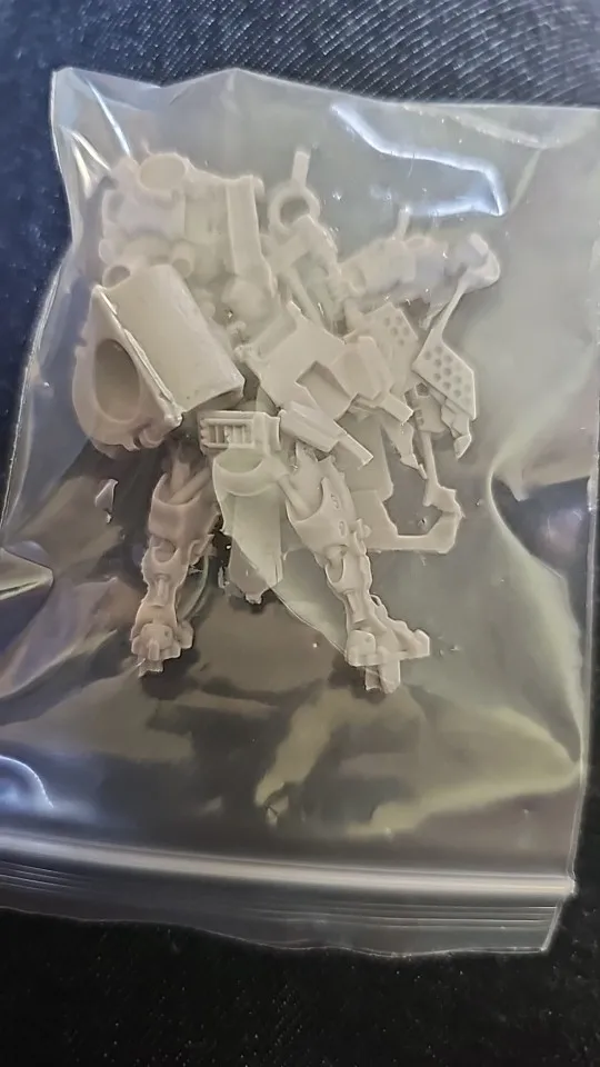 Buyer photo of this resin kit