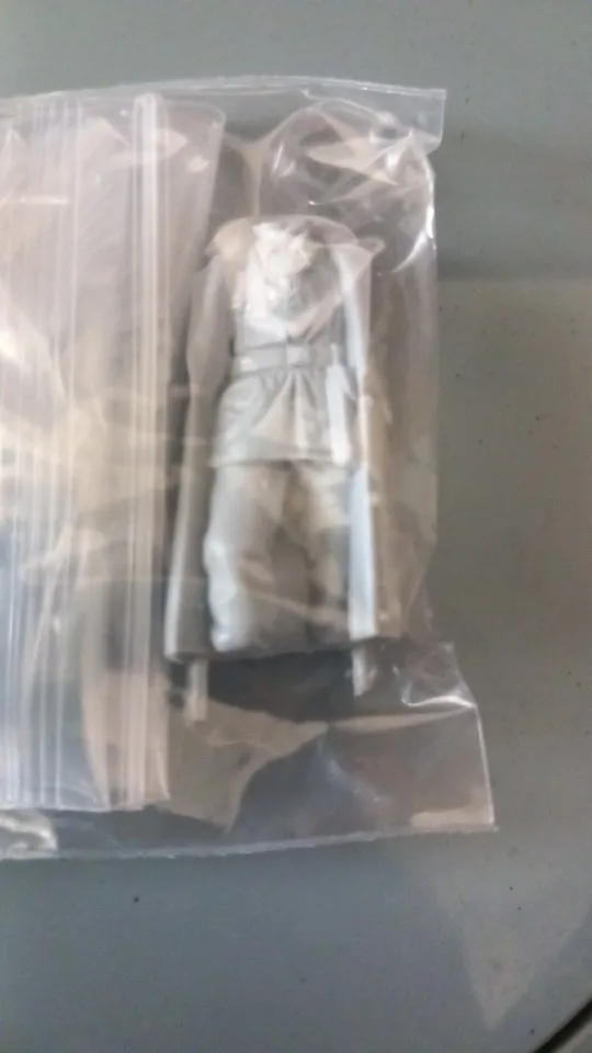 Buyer photo of this resin kit