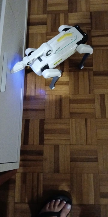 실물 포토 리뷰